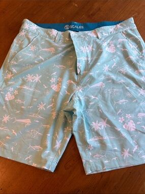 Scales Men's Aqua Tropical Print Board Shorts
